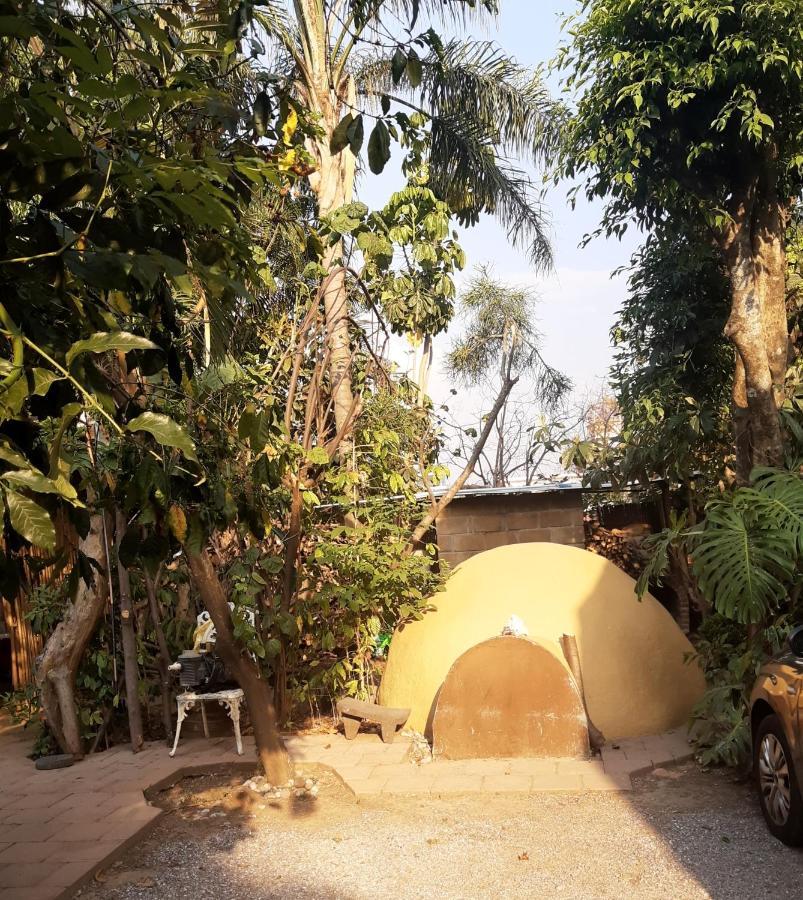 Posada Bugambilias Tepoztlán Exteriör bild