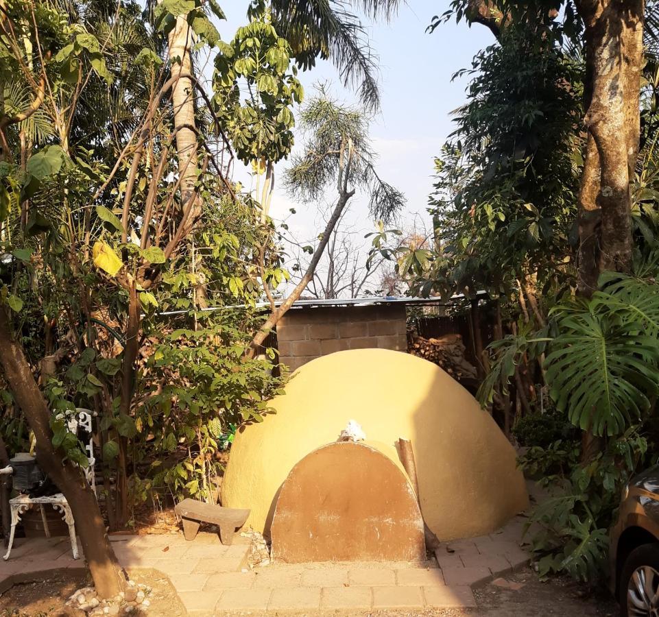 Posada Bugambilias Tepoztlán Exteriör bild
